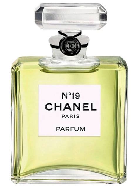 chanel n18|chanel n19 perfume.